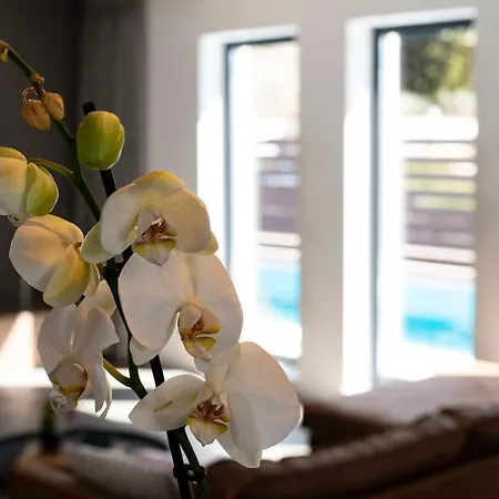 Marcante Designer Family With A Pool Villa Porec